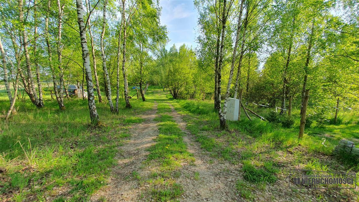 Sprzedaż Działka rolna Śmiadowo