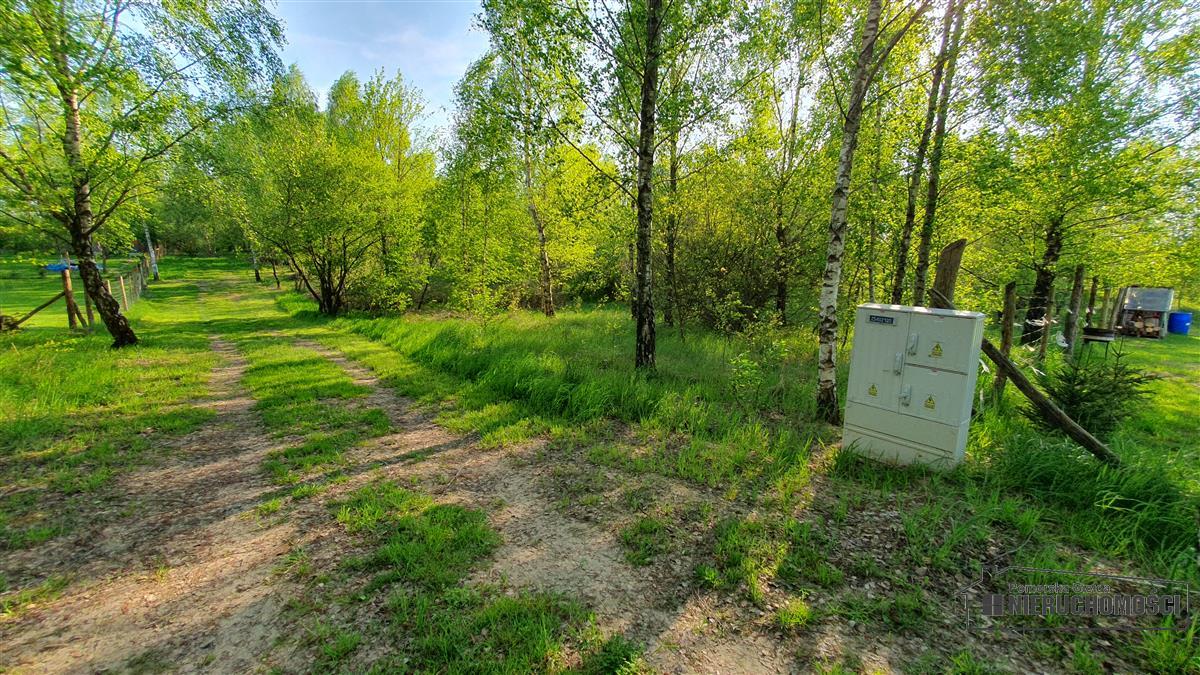 Sprzedaż Działka rolna Śmiadowo