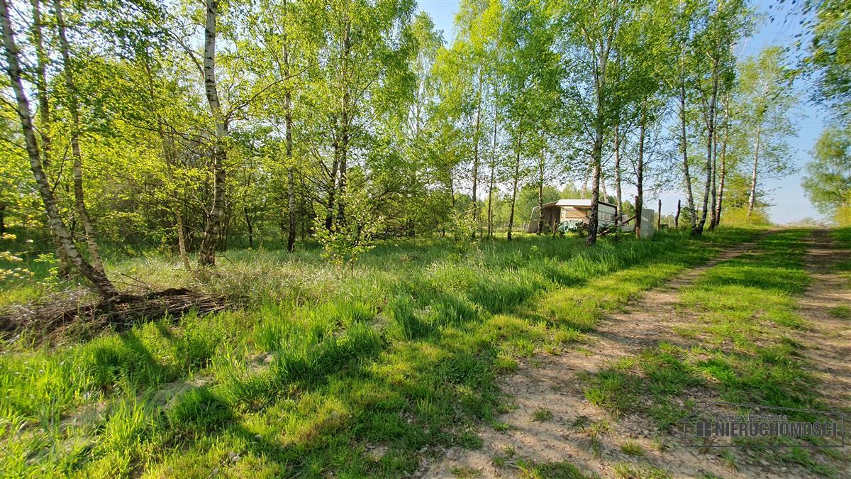 Sprzedaż Działka rolna Śmiadowo