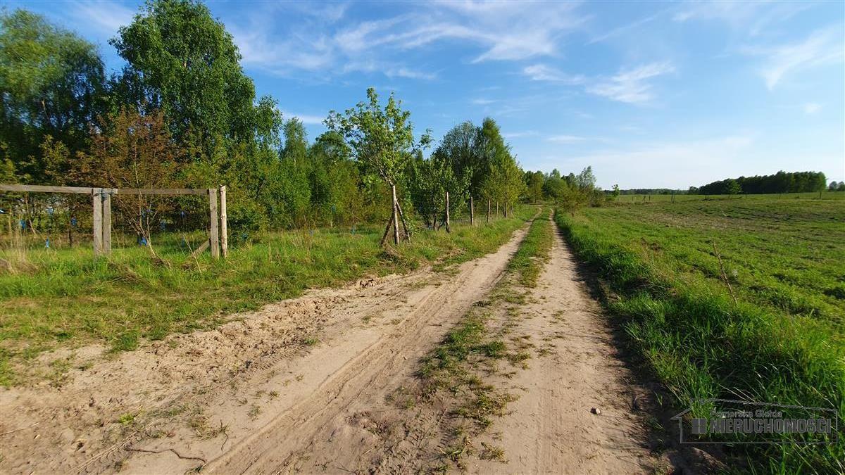 Sprzedaż Działka rolna Śmiadowo