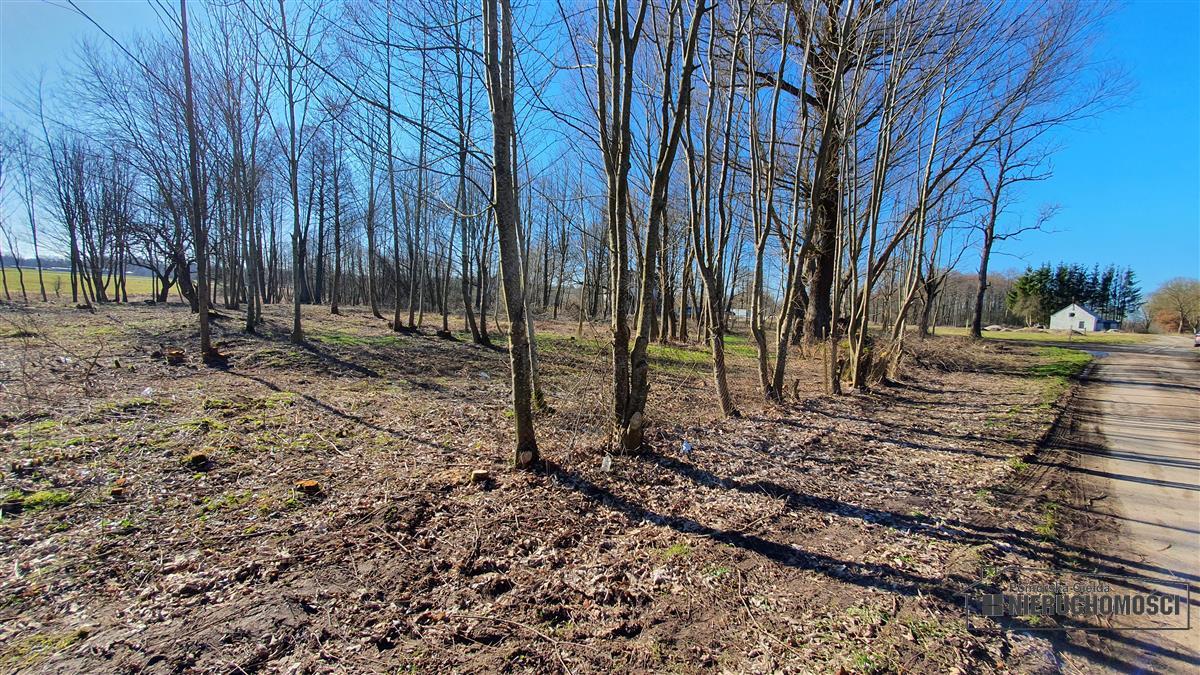 Sprzedaż Działka budowlana Żeleźno