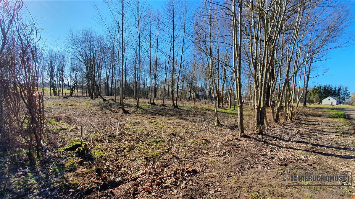 Sprzedaż Działka budowlana Żeleźno