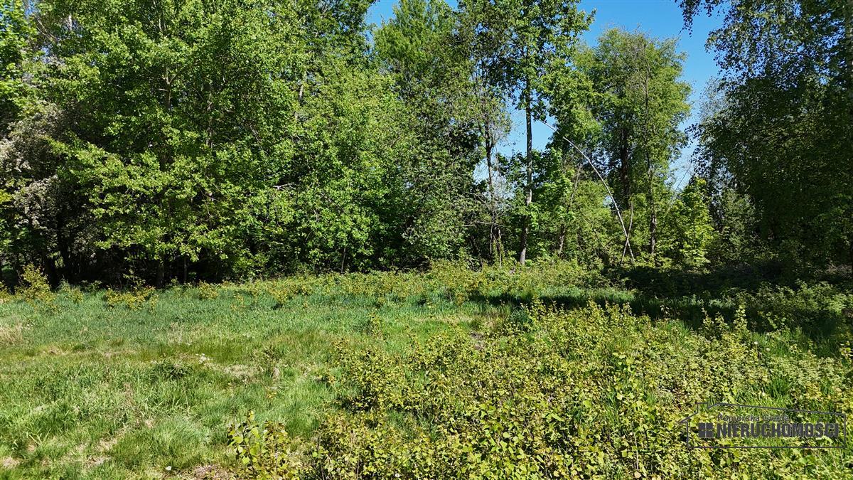 Sprzedaż Działka budowlana Tyczewo