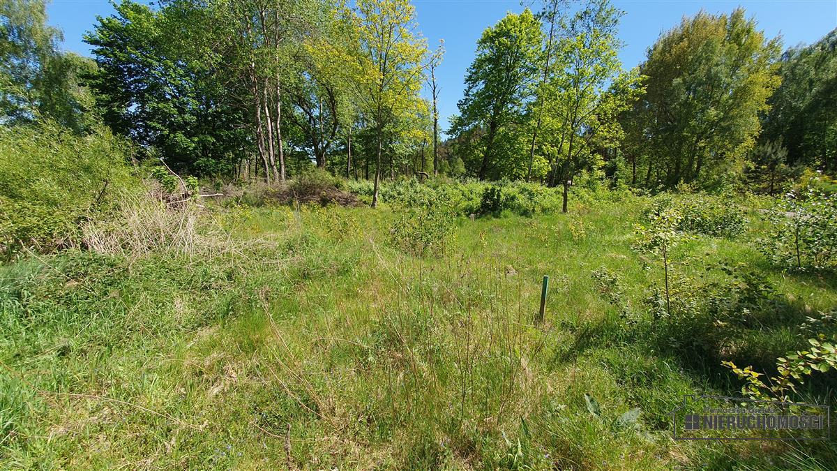 Sprzedaż Działka budowlana Tyczewo