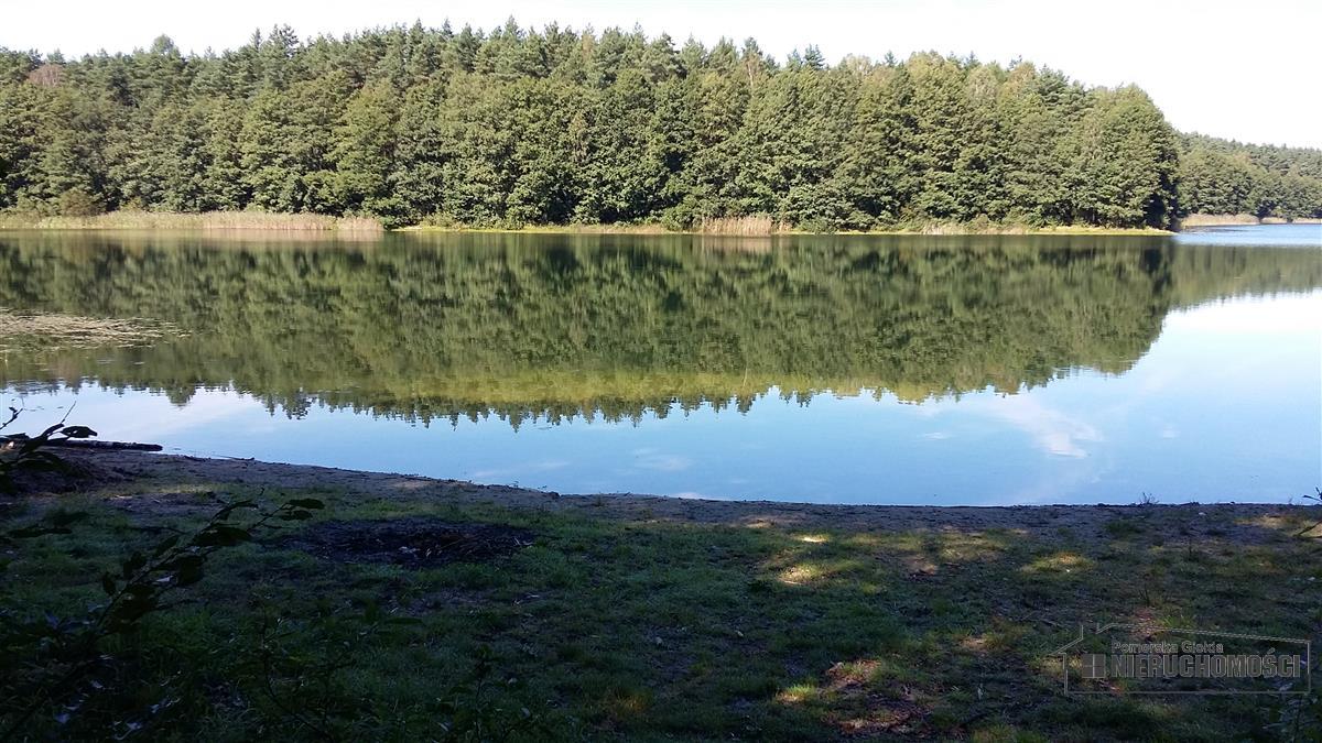 Sprzedaż Działka rolna Nobliny