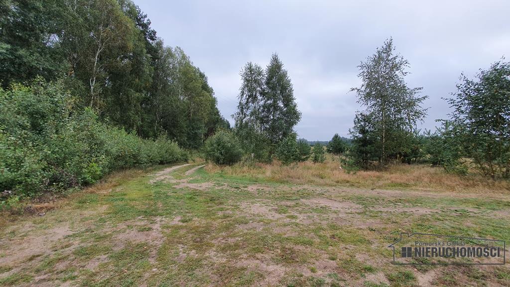 Sprzedaż Działka rolna Nobliny