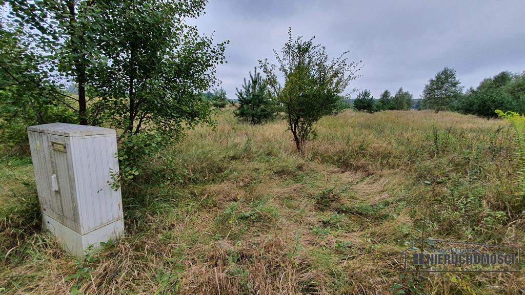 Sprzedaż Działka rolna Nobliny