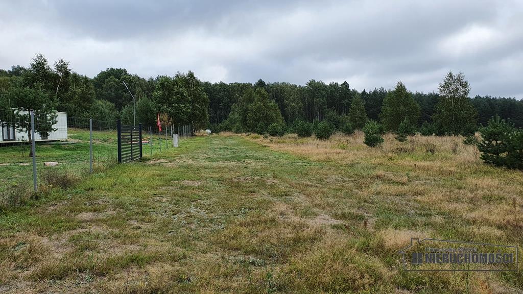 Sprzedaż Działka rolna Nobliny
