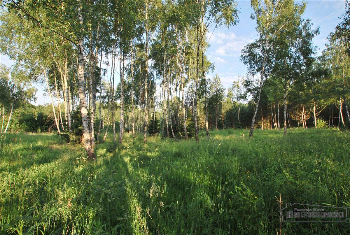 Sprzedaż Dom Brzeźno