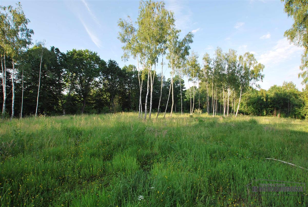 Sprzedaż Dom Brzeźno