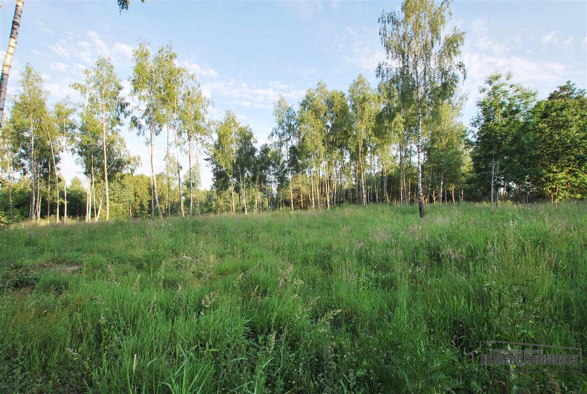 Sprzedaż Dom Brzeźno