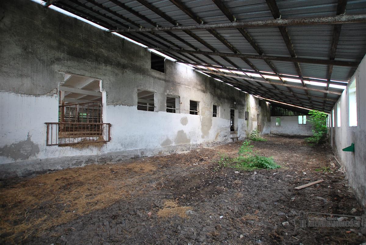 Sprzedaż Obiekt Brzeźnica
