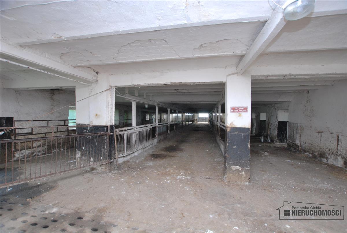 Sprzedaż Obiekt Brzeźnica