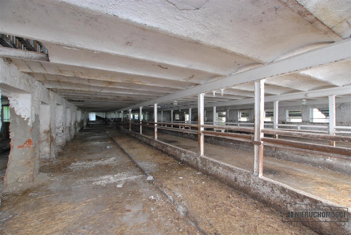 Sprzedaż Obiekt Brzeźnica