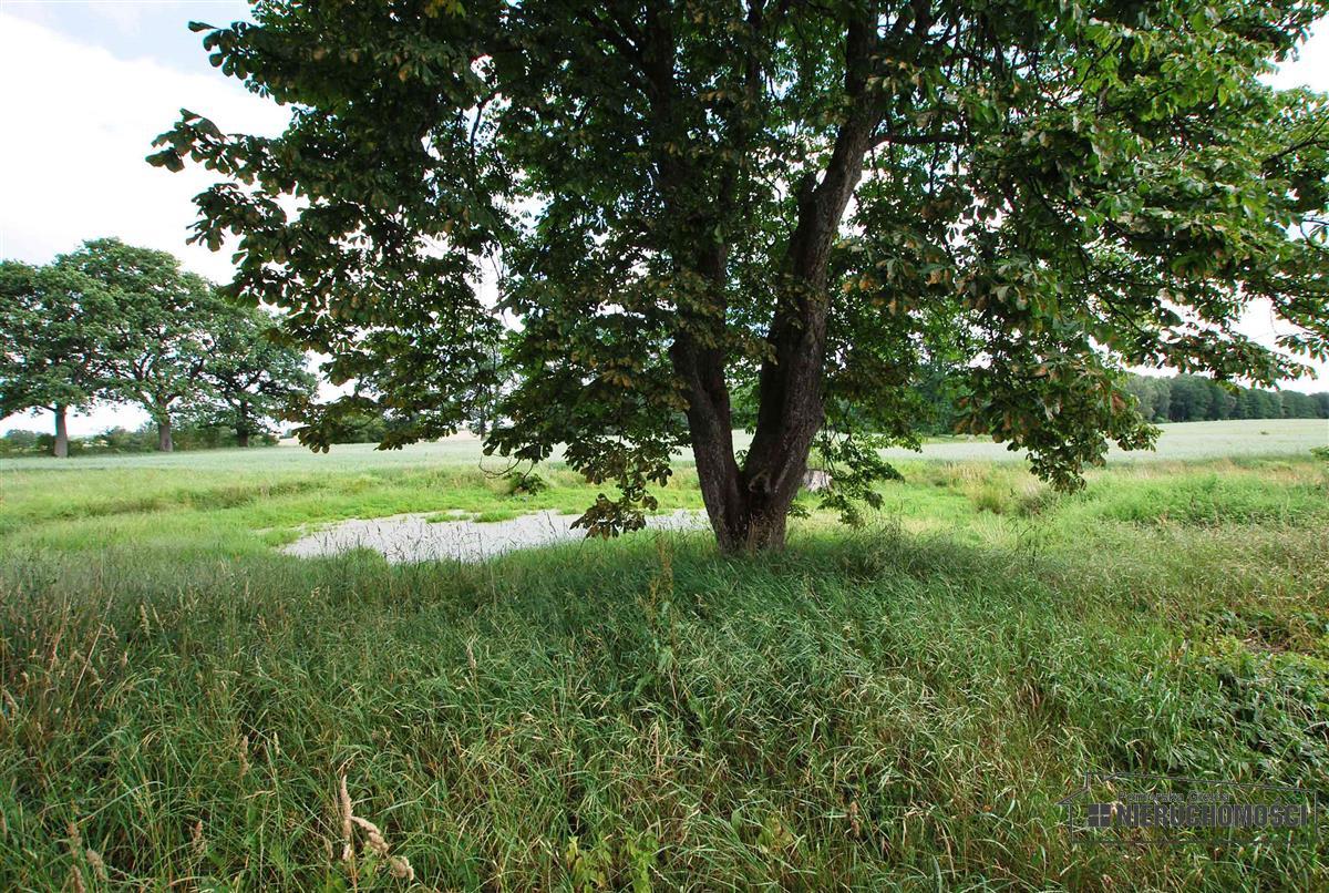 Sprzedaż Obiekt Brzeźnica