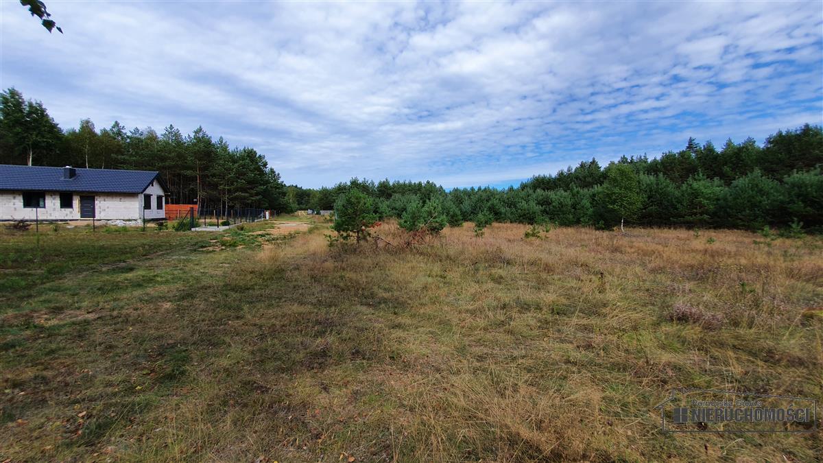 Sprzedaż Działka budowlana Machliny