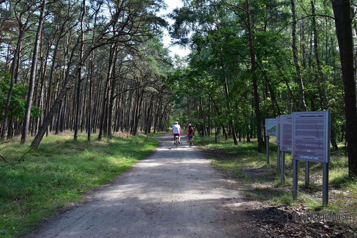 Sprzedaż Obiekt Rowy