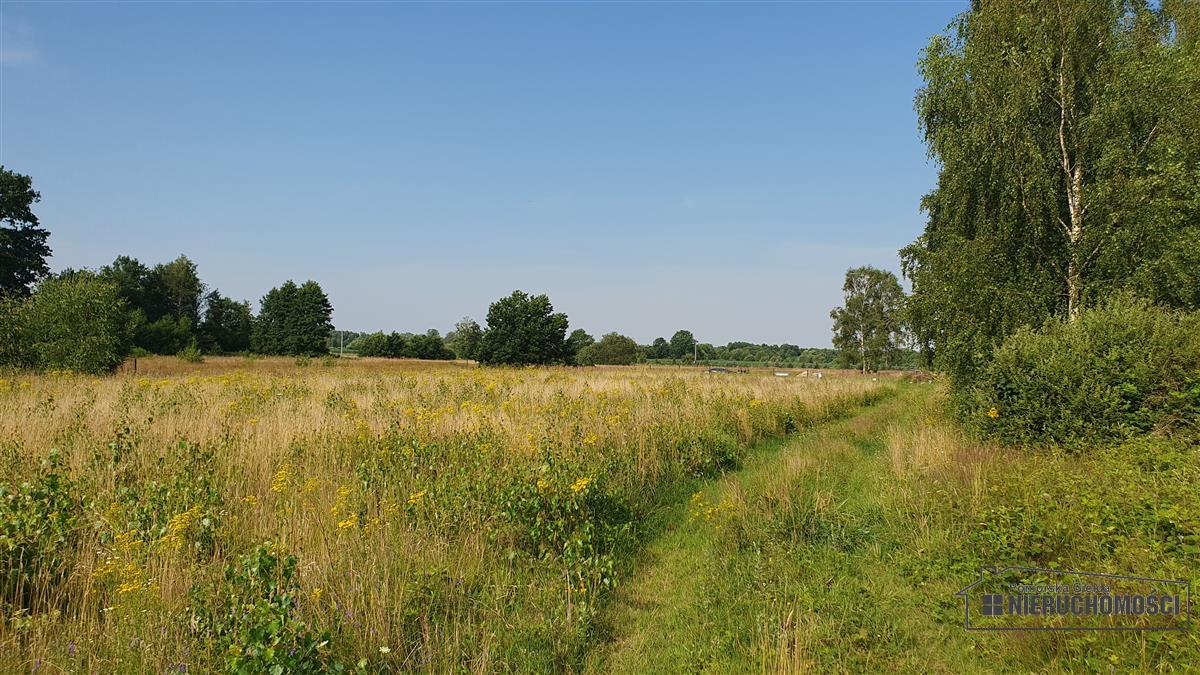 Sprzedaż Działka budowlana Kościernica