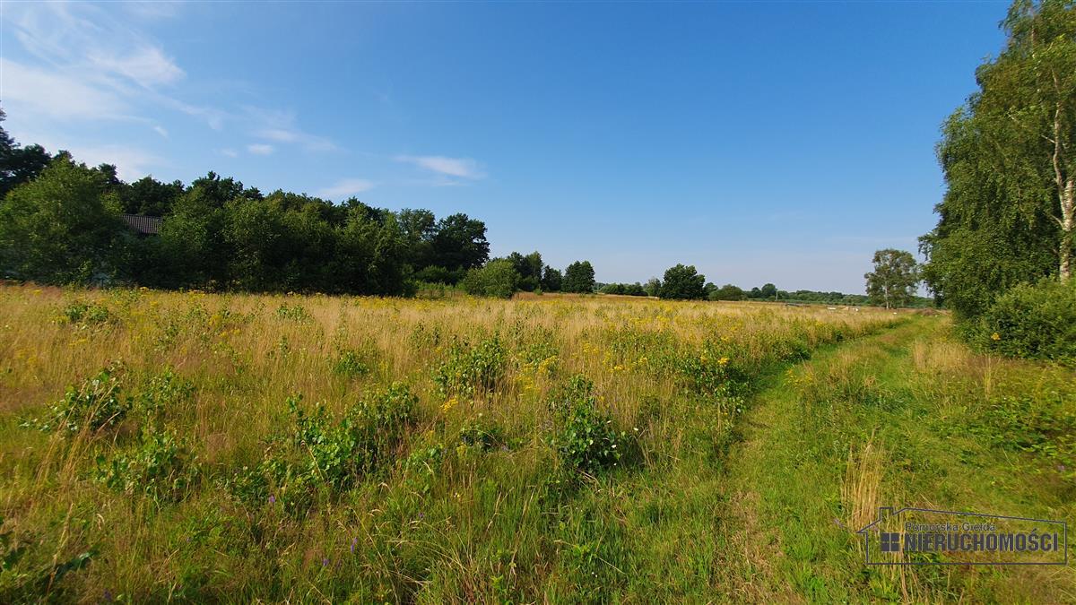 Sprzedaż Działka budowlana Kościernica
