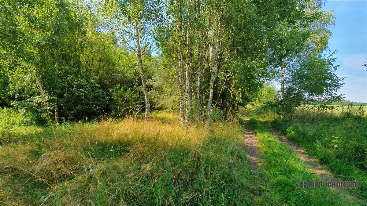 Sprzedaż Działka siedliskowa Kiełpino