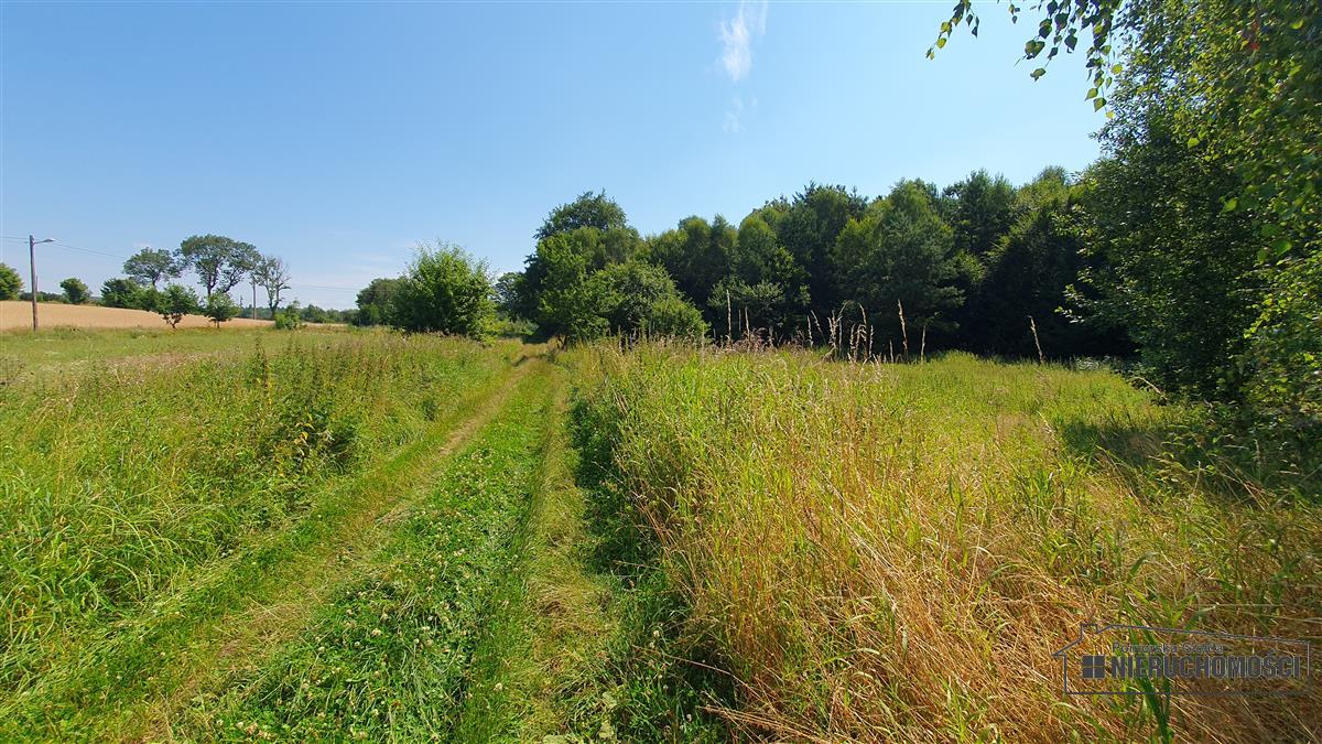 Sprzedaż Działka siedliskowa Kiełpino
