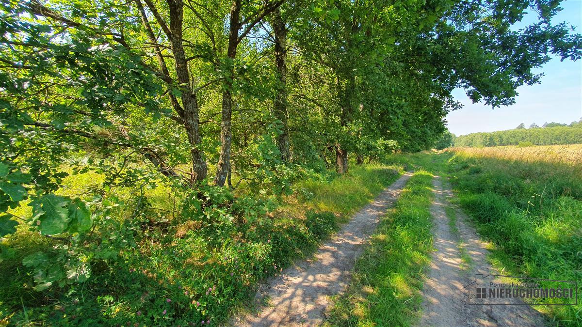 Sprzedaż Działka siedliskowa Kiełpino