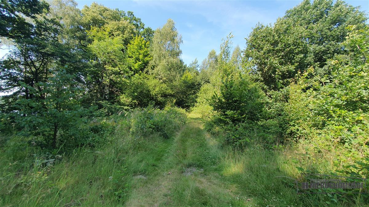 Sprzedaż Działka siedliskowa Kiełpino