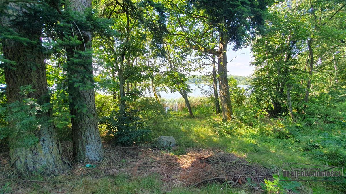 Sprzedaż Działka siedliskowa Kiełpino