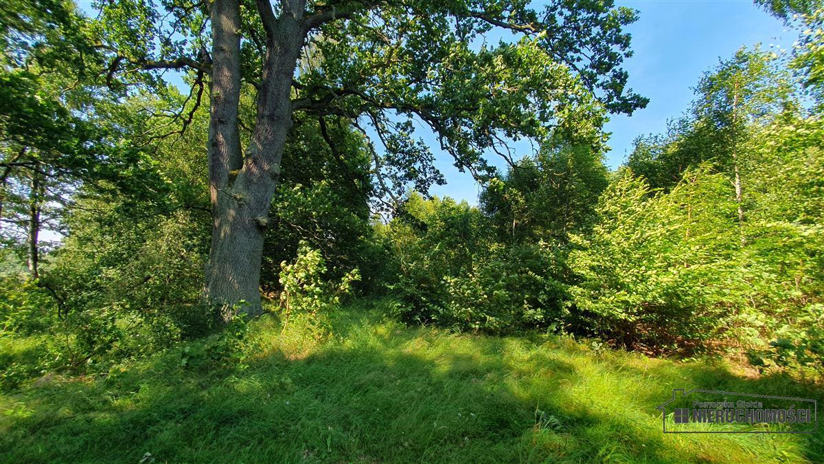 Sprzedaż Działka siedliskowa Kiełpino