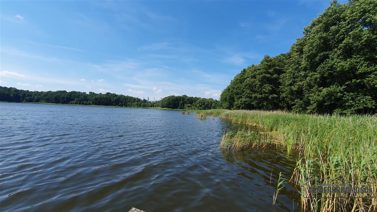 Sprzedaż Działka siedliskowa Kiełpino