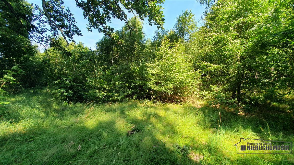 Sprzedaż Działka siedliskowa Kiełpino