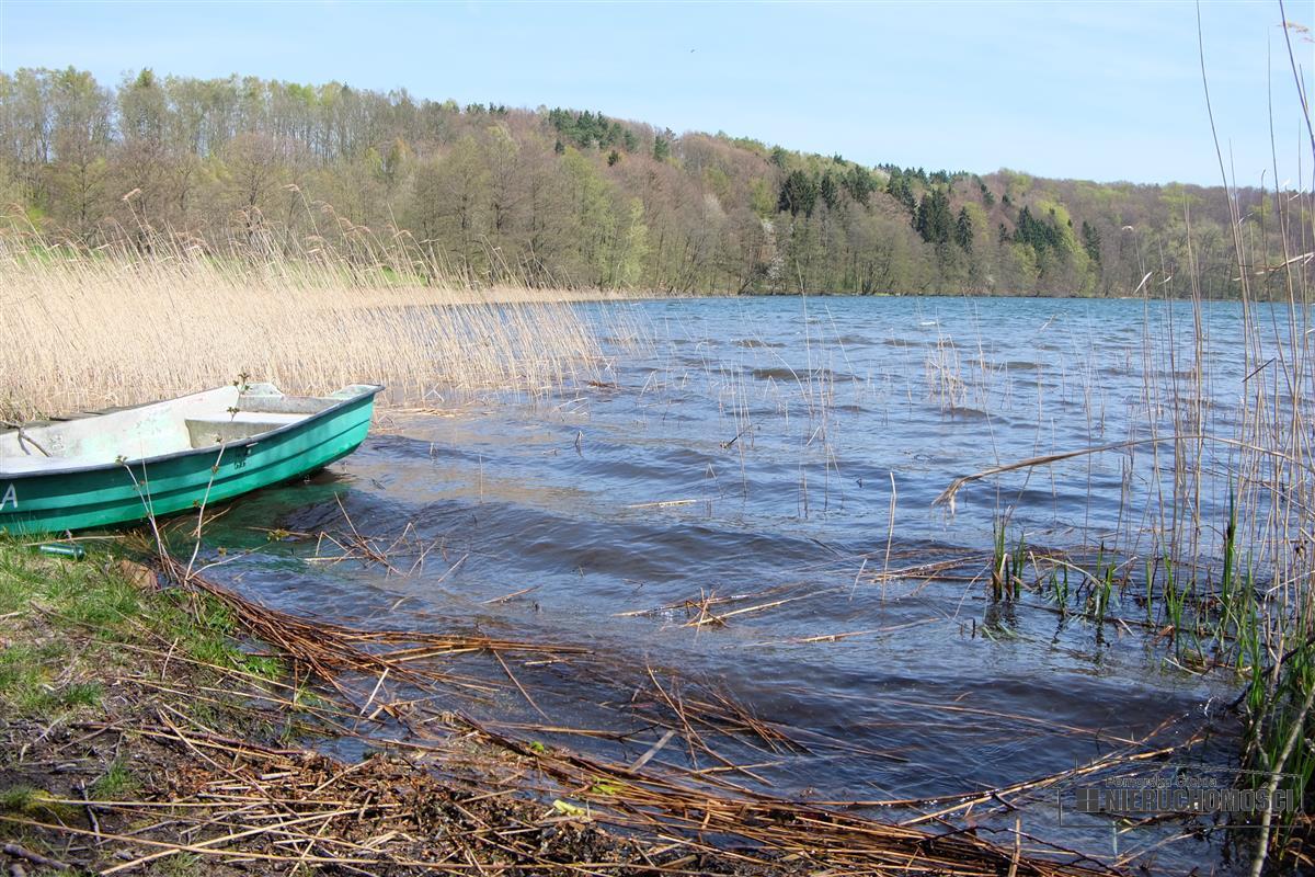 Sprzedaż Działka rolna Kuszewo