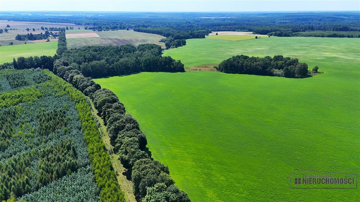 Sprzedaż Działka budowlana Ząbrowo