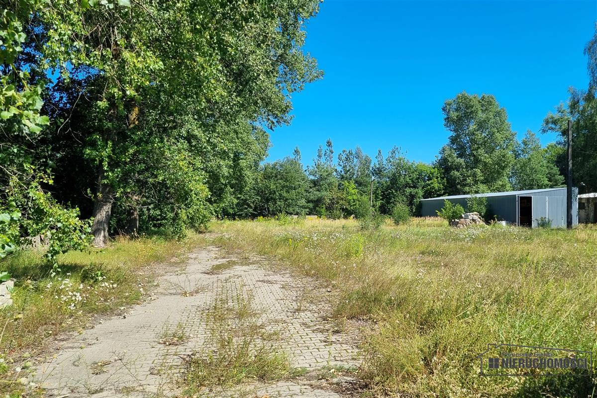 Sprzedaż Magazyn Szczecinek