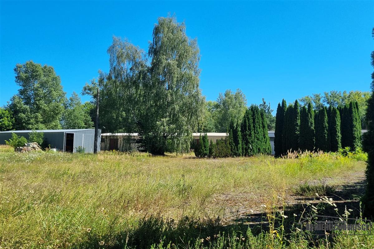 Sprzedaż Magazyn Szczecinek