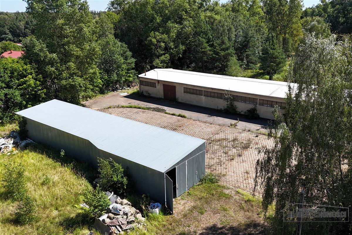 Sprzedaż Magazyn Szczecinek