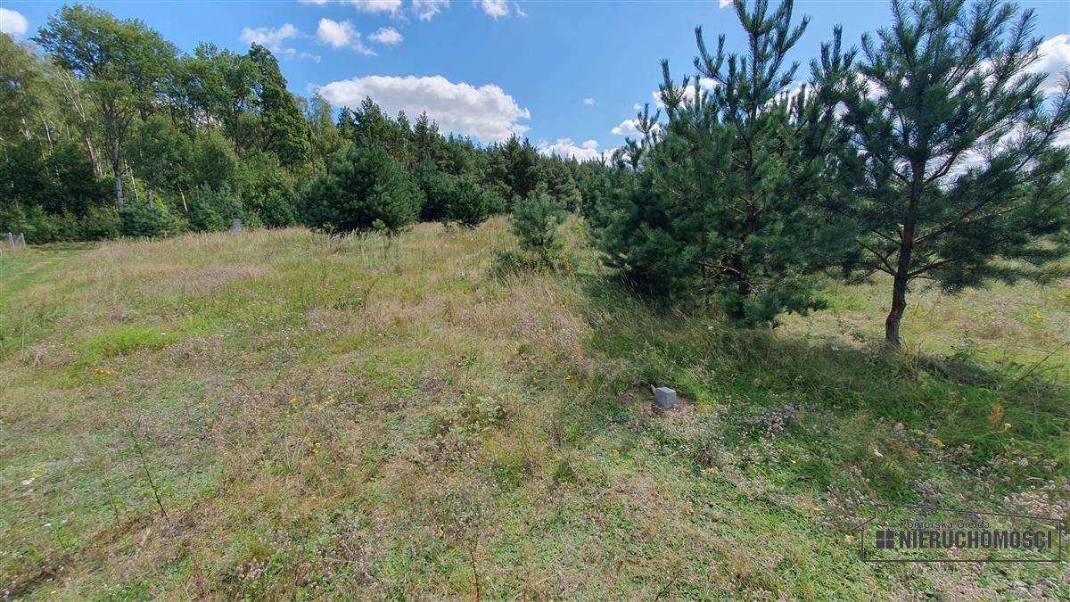 Sprzedaż Działka rolna Nobliny