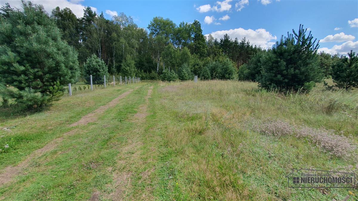 Sprzedaż Działka rolna Nobliny