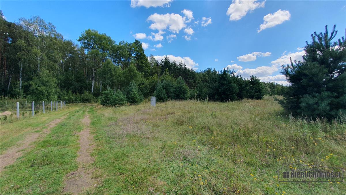 Sprzedaż Działka rolna Nobliny