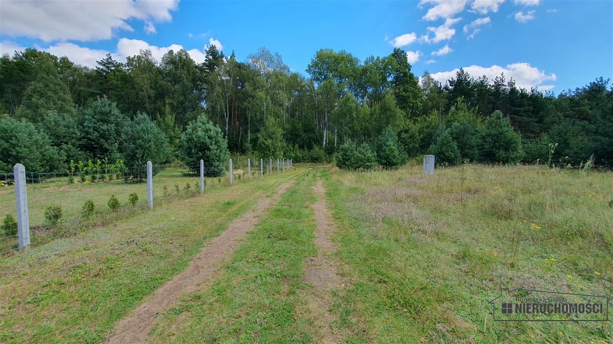 Sprzedaż Działka rolna Nobliny