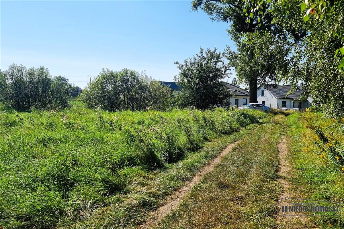 Sprzedaż Działka siedliskowa Marcelin