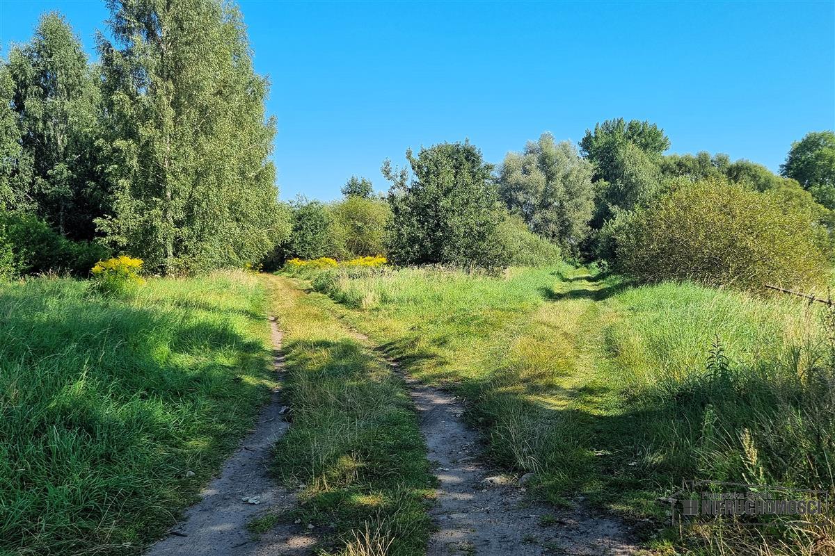 Sprzedaż Działka siedliskowa Marcelin