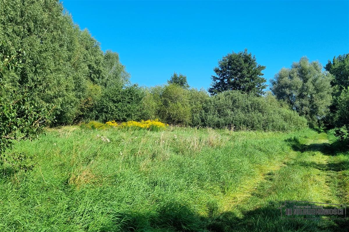 Sprzedaż Działka siedliskowa Marcelin