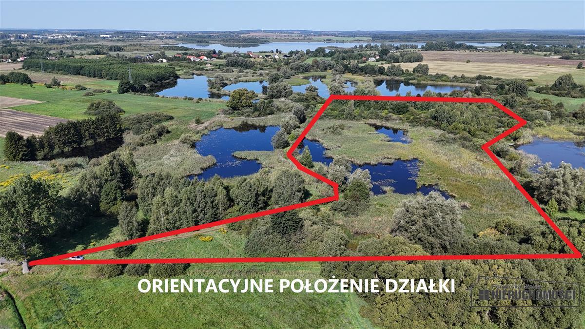 Sprzedaż Działka siedliskowa Marcelin