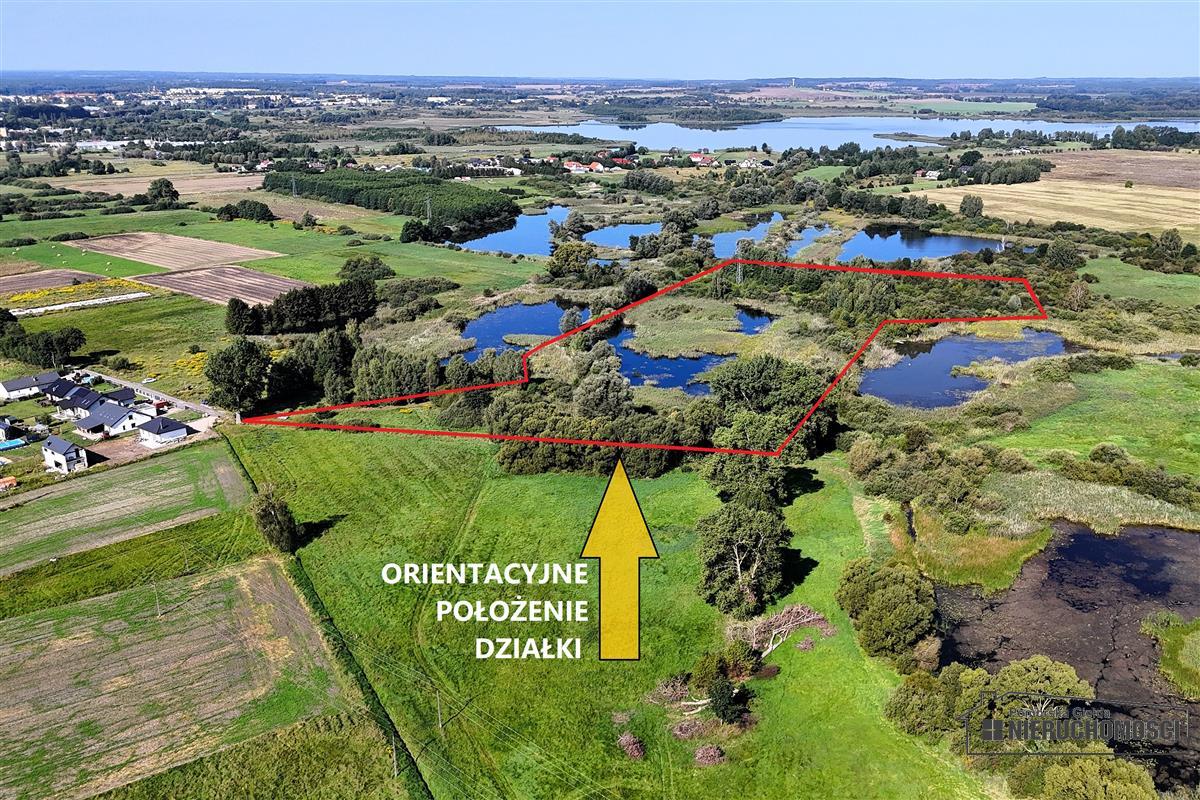 Sprzedaż Działka siedliskowa Marcelin