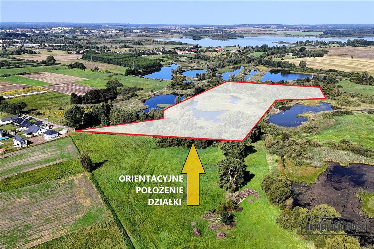 Sprzedaż Działka siedliskowa Marcelin