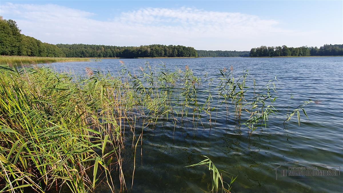 Sprzedaż Dom szeregowy Strzeszyn
