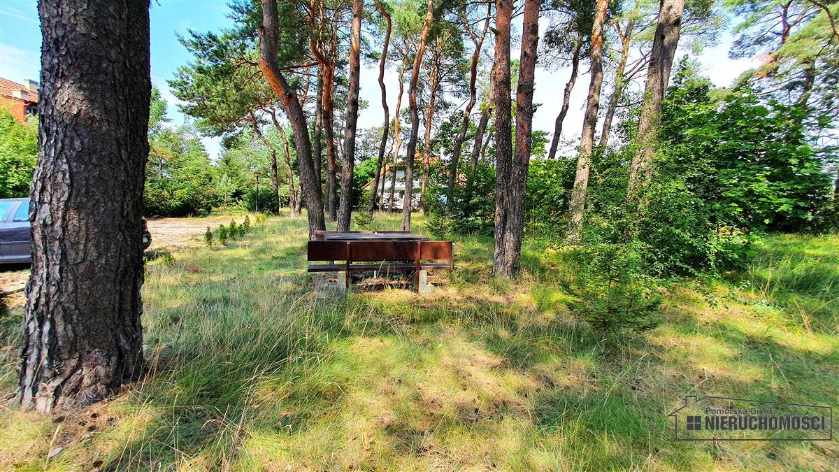 Sprzedaż Mieszkanie Borne Sulinowo