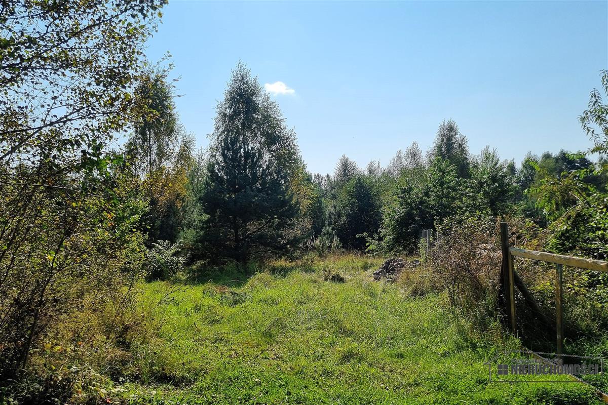 Sprzedaż Działka budowlana Krosino