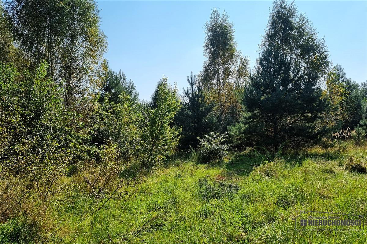 Sprzedaż Działka budowlana Krosino